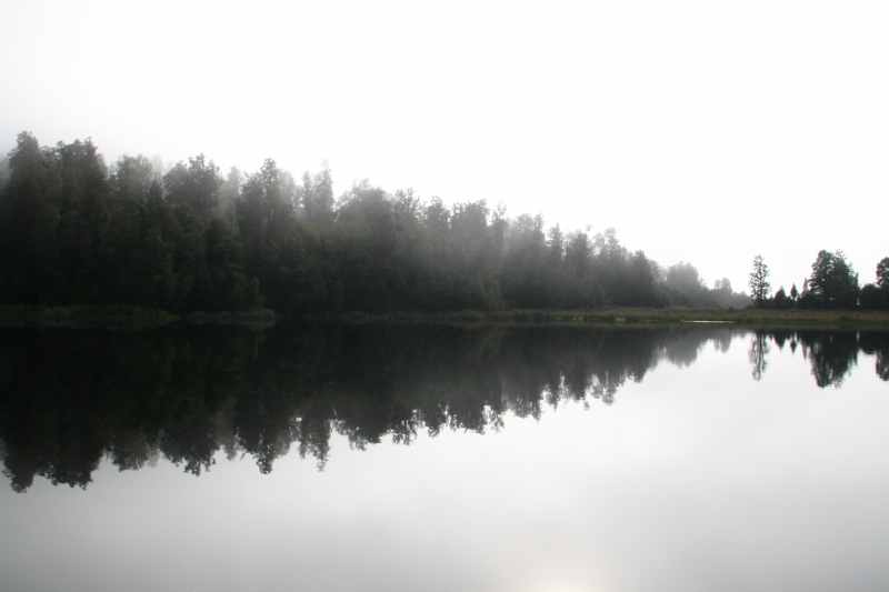 Nieuw-Zeeland 2011 - 1474